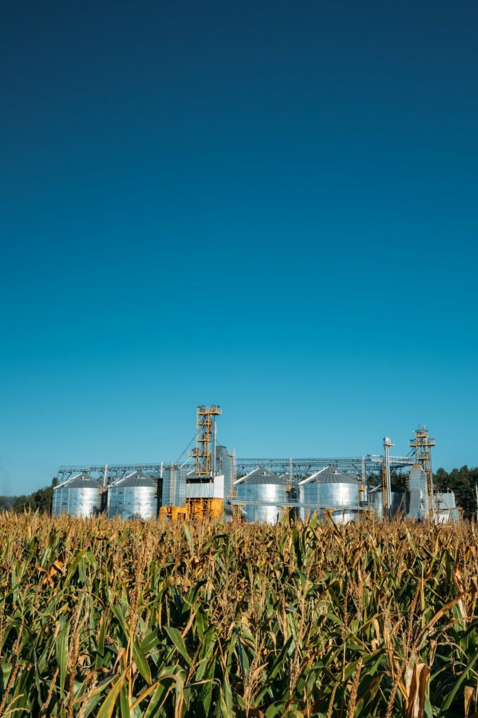 Modern Granary, Grain-drying Complex, Commercial Grain Or Seed S